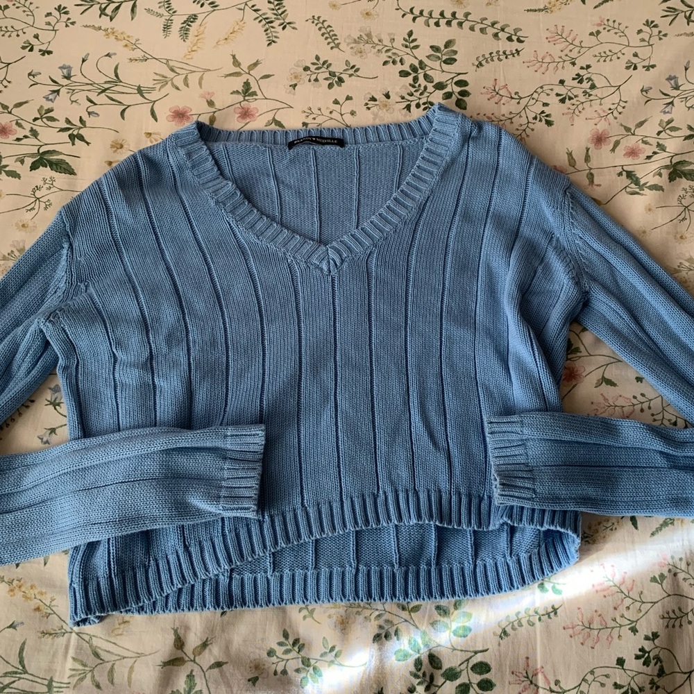 Brandy Melville Light Blue V-Neck Sweater